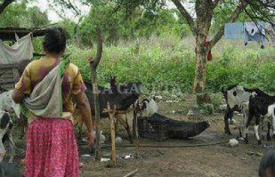 El reclamo de los pueblos originarios se centra en viviendas y agua potable
