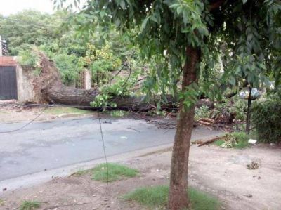 La tormenta se hizo sentir en Rosario y el Servicio Meteorol�gico renov� alerta en toda la regi�n