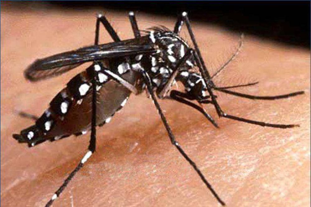 La fiebre de la chikungunya