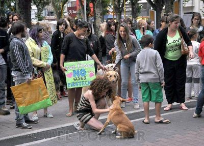 Olavarr�a se moviliz� contra el uso de pirotecnia