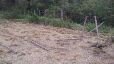 Delincuentes ingresan a una finca y se llevan maquinarias valuadas en $ 60.000