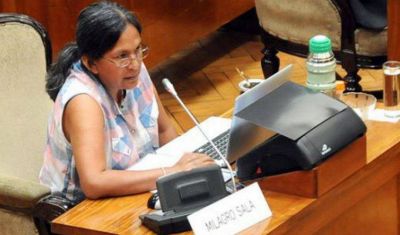 �ME GUSTAR�A IR COMO DIPUTADA NACIONAL DEL MERCOSUR�
