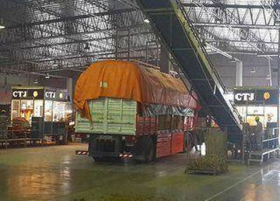 Tabaco � a buen ritmo se inici� el acopio en Jujuy