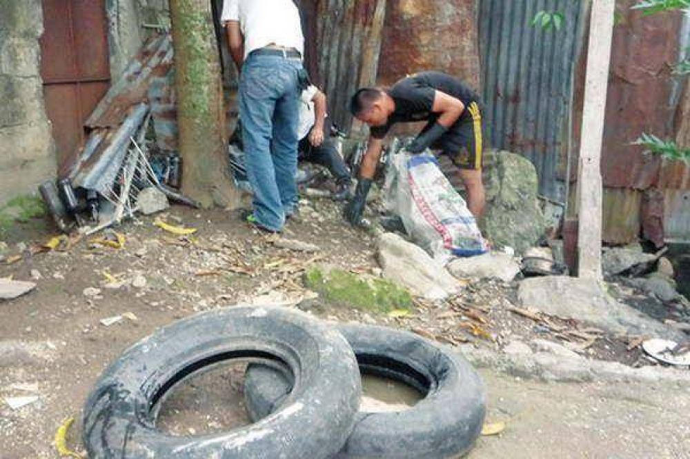 Contin�a el trabajo de prevenci�n por la proliferaci�n de insectos en la ciudad