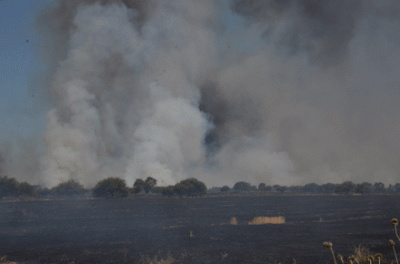 Voraz incendio rural al este de Santa Rosa: no lo controlan y avanz� hacia el Bajo Giuliani