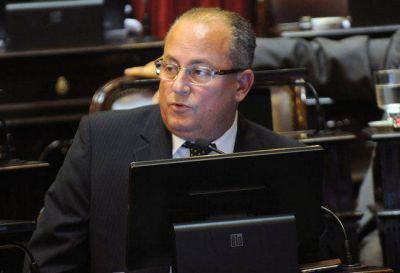 CAME apoya proyecto del senador Marino