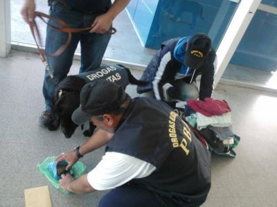 Aprehendieron a 15 personas por tenencia de marihuana