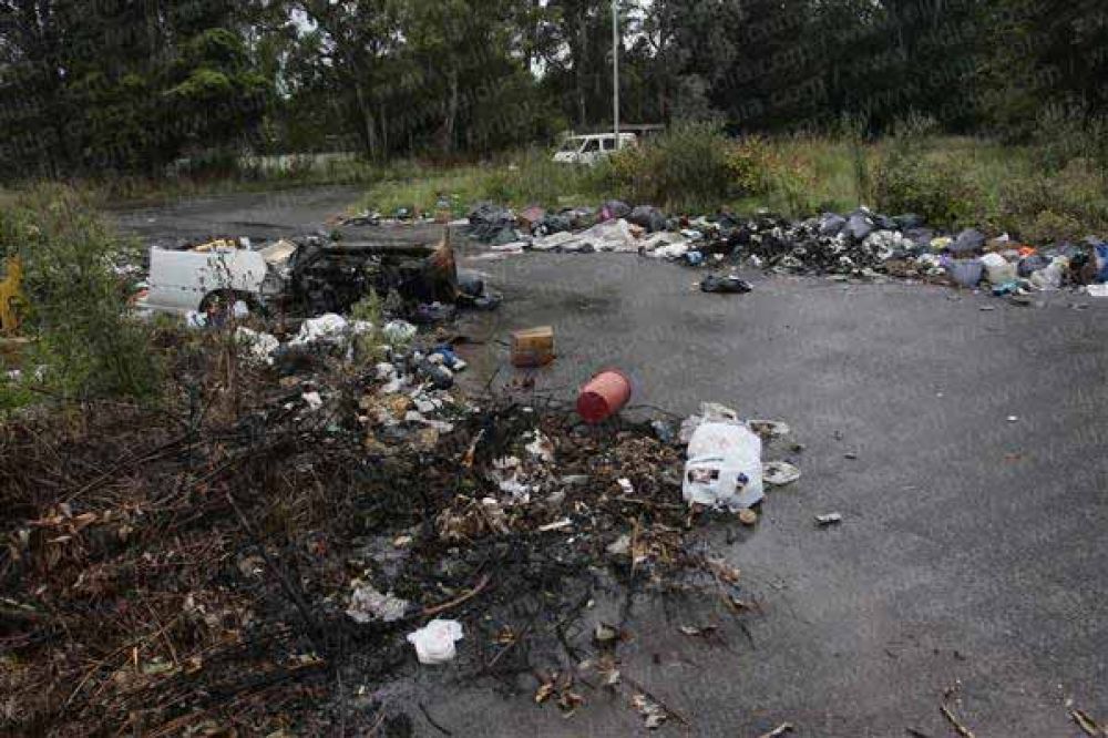 El Parque Pereyra, un pulm�n verde que muestra s�ntomas de abandono   