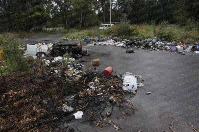 El Parque Pereyra, un pulm�n verde que muestra s�ntomas de abandono   