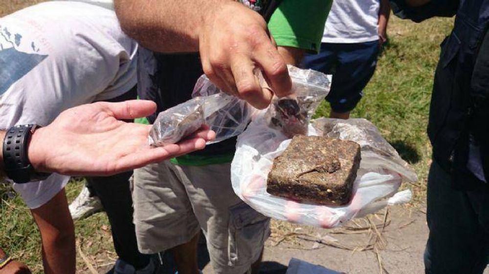 Seis aprehendidos por tenencia de marihuana, LSD y pastillas de �xtasis