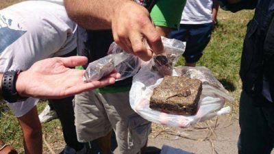 Seis aprehendidos por tenencia de marihuana, LSD y pastillas de �xtasis