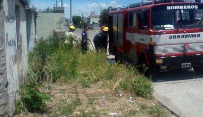 Controlaron incendio de pastizales en un bald�o 