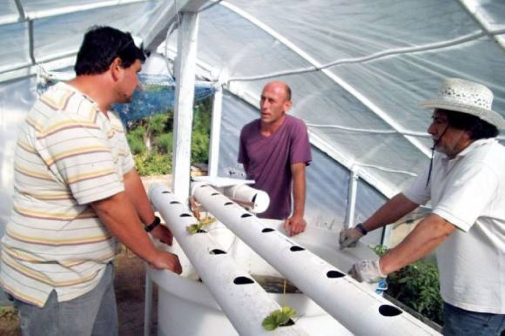 CORFO capacit� a productores hort�colas sobre una novedosa t�cnica de cultivo