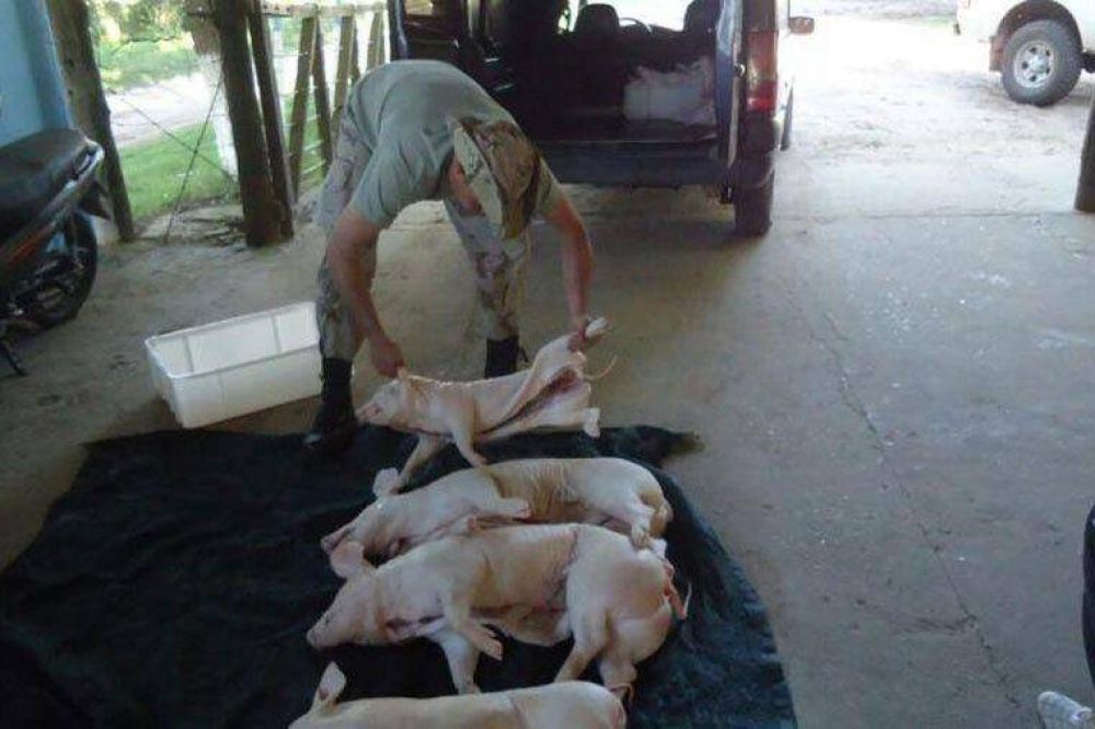 Aument� la comercializaci�n ilegal de carnes por las Fiestas