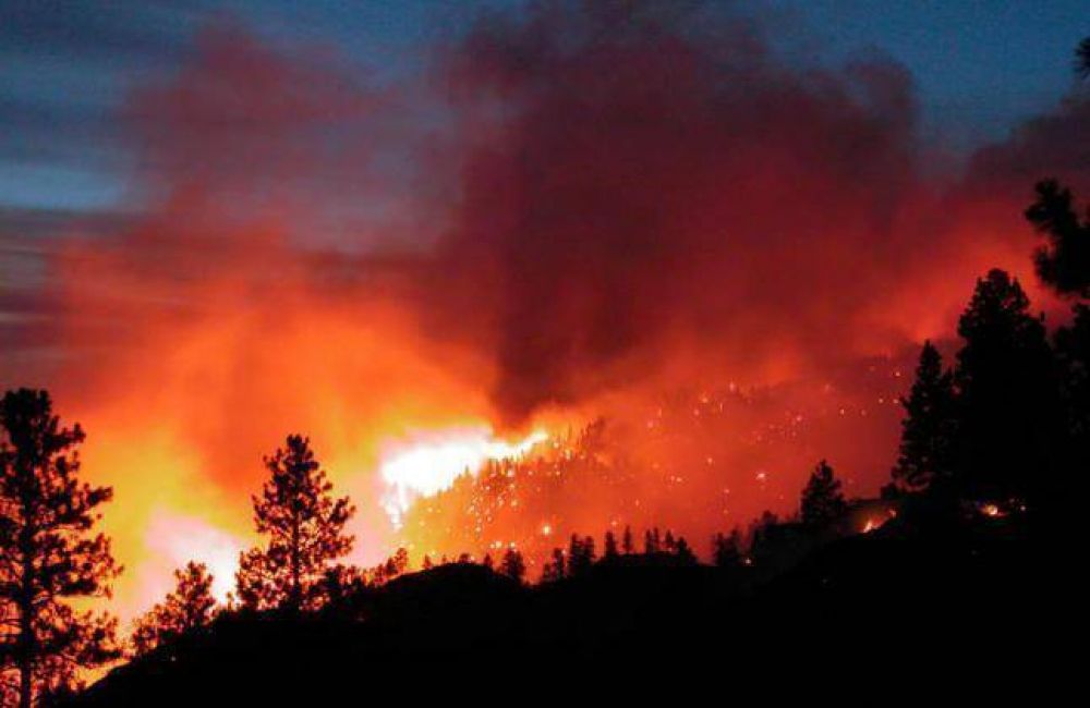 San Mart�n : Controlaron un voraz incendio forestal