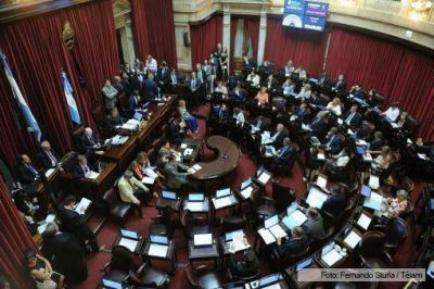 El Senado aprob� la elecci�n de miembros del Parlamento del Mercosur