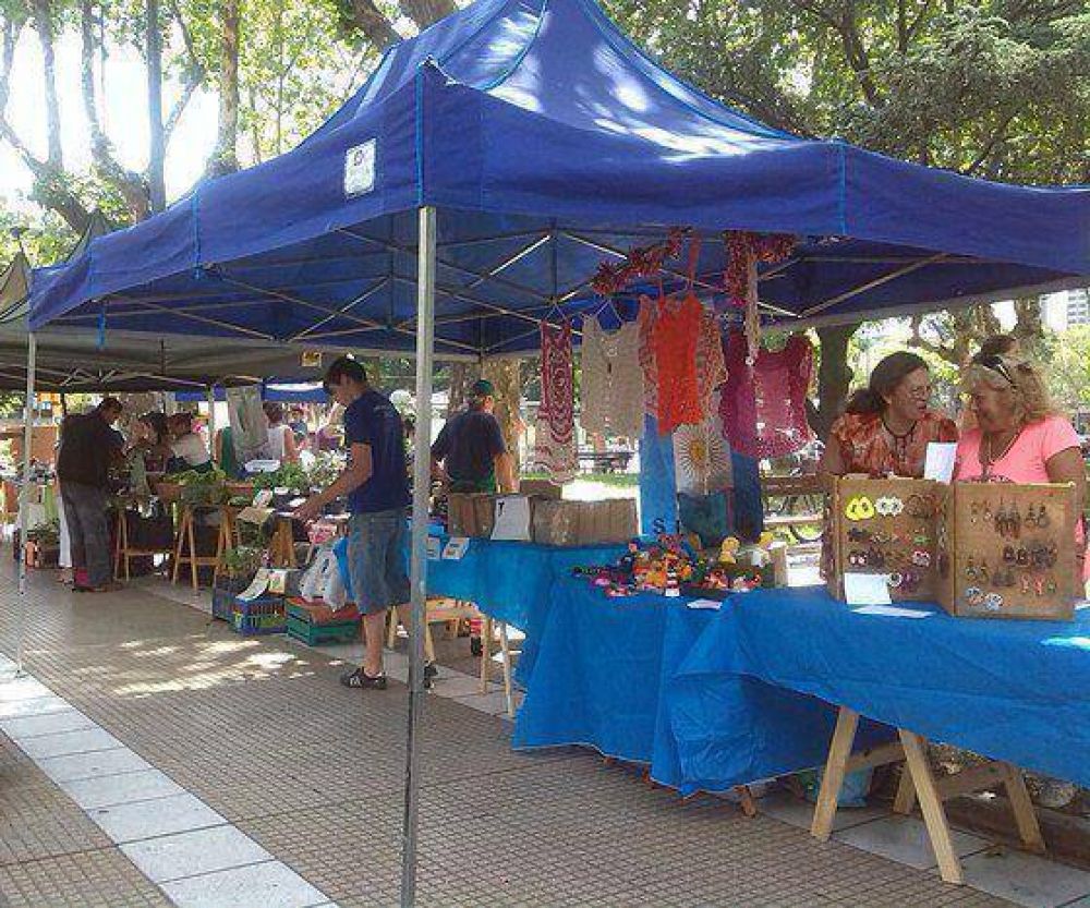 �Es necesario que se apruebe el proyecto para ordenar la producci�n social�