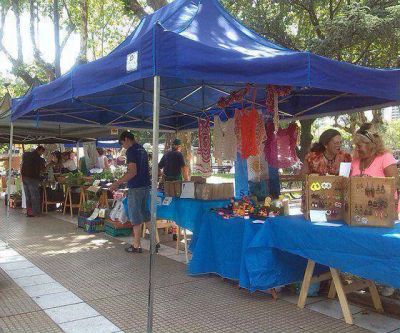 �Es necesario que se apruebe el proyecto para ordenar la producci�n social�