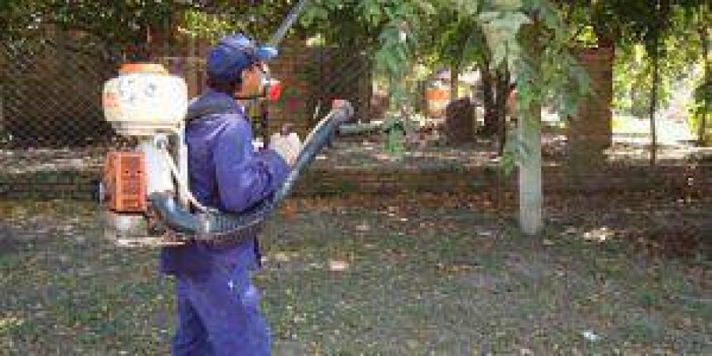 No se interrumpe el plan de lucha contra el Dengue en toda la ciudad