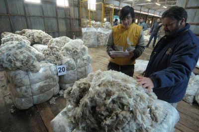 Informe nacional destaca �a�o r�cord� en Chubut