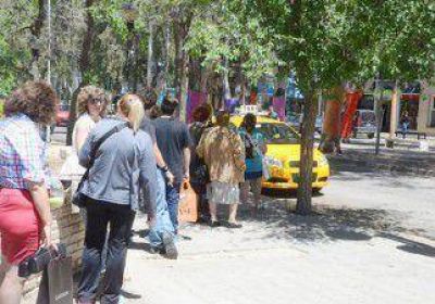 El negocio de los taxis mueve 24 millones de pesos al mes 