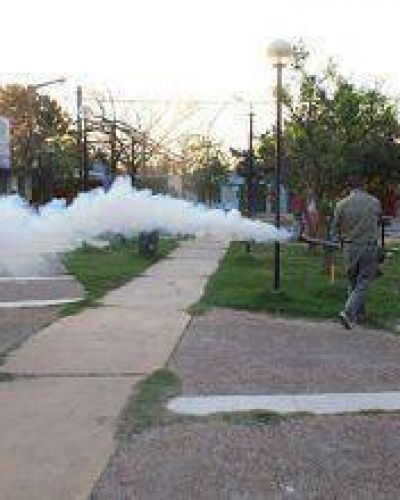 Dengue: Tareas de prevenci�n en mas barrios de la ciudad
