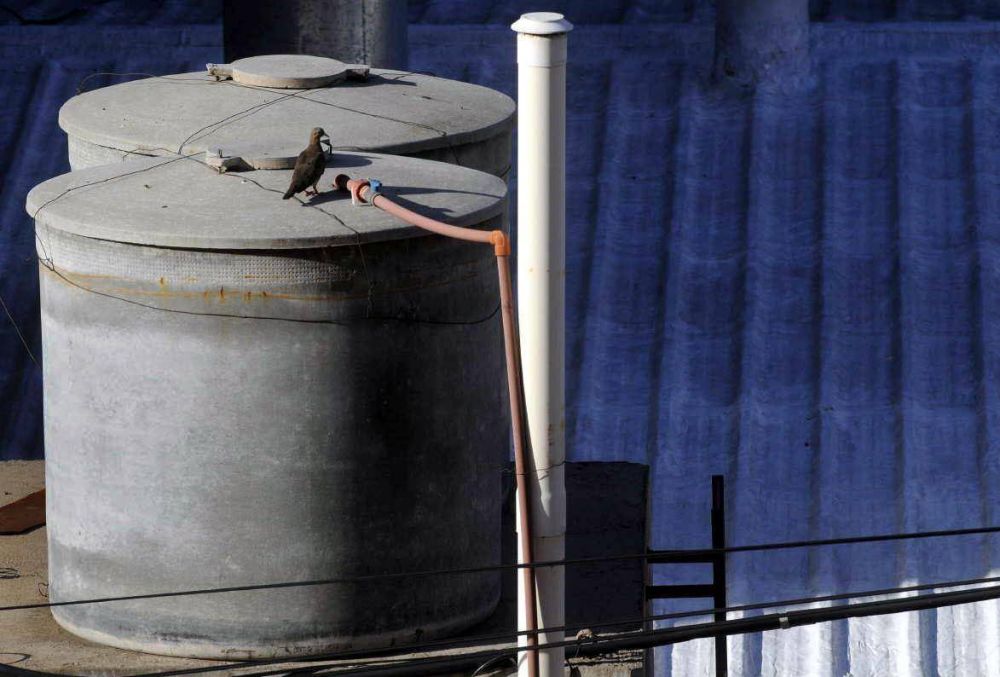 Piden resarcir a usuarios de agua y luz