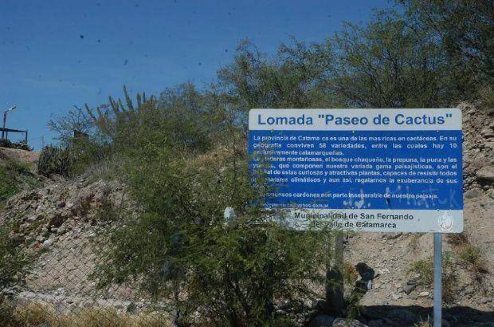 El Paseo de los Cactus podra costarle al municipio $5 millones