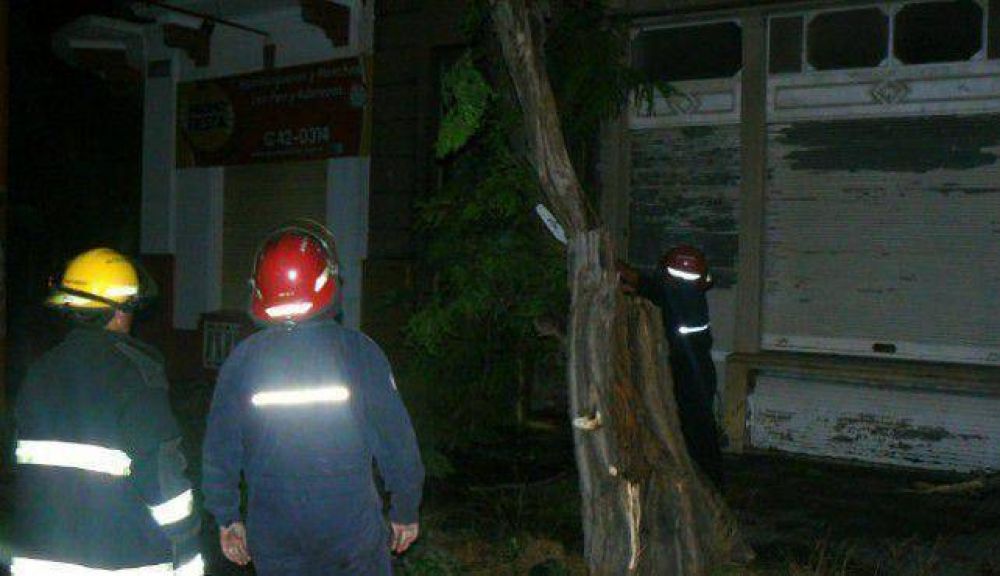 Tras el temporal, ramas ca�das, cortes de luz y techos afectados en toda la ciudad