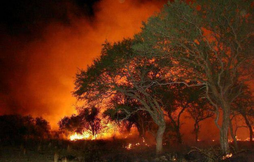 Dos nuevos incendios queman campos en la provincia