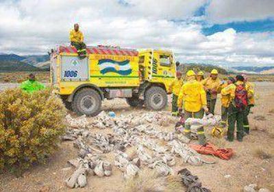 La Angostura: contienen el incendio de pastizales 