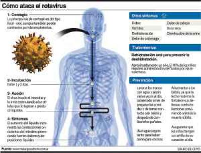 Ya se aplica a nivel local la vacuna contra el rotavirus