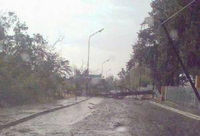 Temporal caus� problemas en Saujil