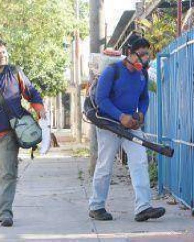 Las brigadas contra el dengue trabajar�n hoy en Nueva Formosa