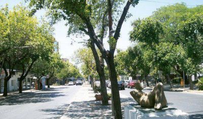 Comienza la segunda etapa de evaluaci�n de forestaci�n en comunas