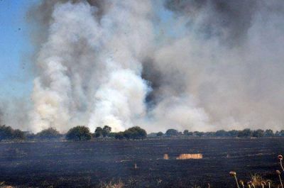 Incendio en Quehu�: el fuego lleg� a unos 5 mil metros de la ruta 35 y sigue un flanco activo