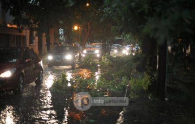 �Mientras Bruera arma un recital, hay ramas tiradas en todos lados