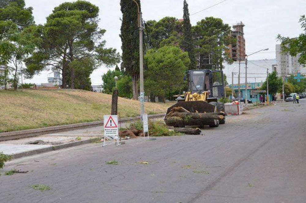 Sacaron �rboles de la vereda del Parque Oliver: �es el accionar de un inoperante�