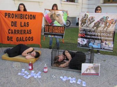 Ya rige en la provincia de Santa Fe la ley que proh�be las carreras de perros