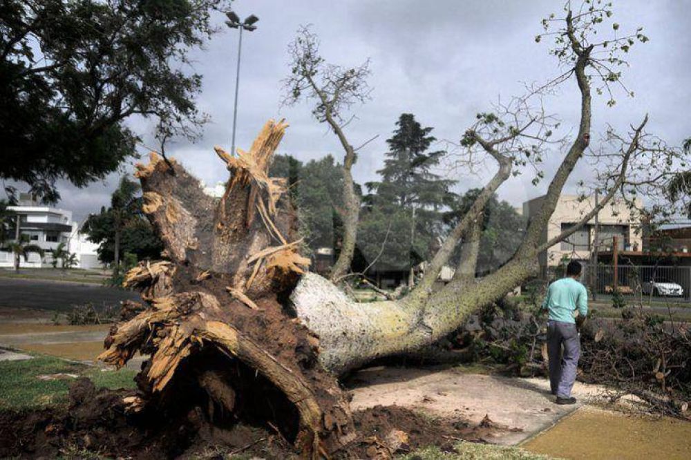 La tormenta dej� �rboles ca�dos y cortes de luz y sigue vigente el alerta por lluvias