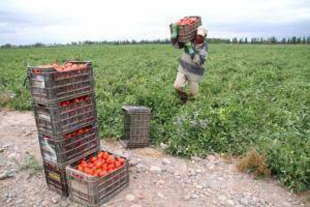Cambio rural II: arrancan los cr�ditos para el campo