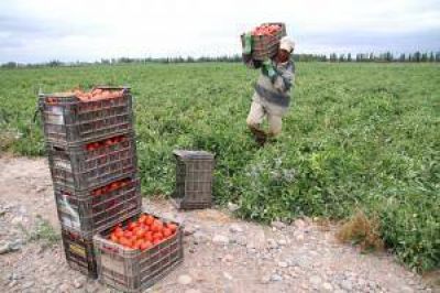 Cambio rural II: arrancan los cr�ditos para el campo