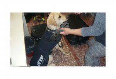 Jujuy: Perro de la AFIP descubre 5 kilos de coca�na y 30 mil d�lares