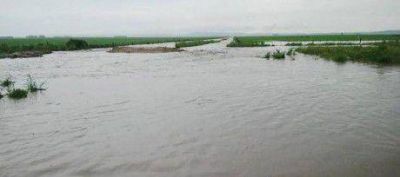 Zonas rurales inundadas en Buenos Aires: �reina la anarqu�a y la insuficiencia�
