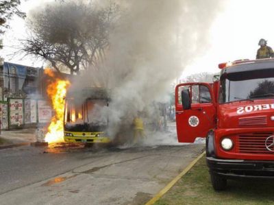 En medio de las cr�ticas, Rosario Bus suma 47 colectivos nuevos a su flota