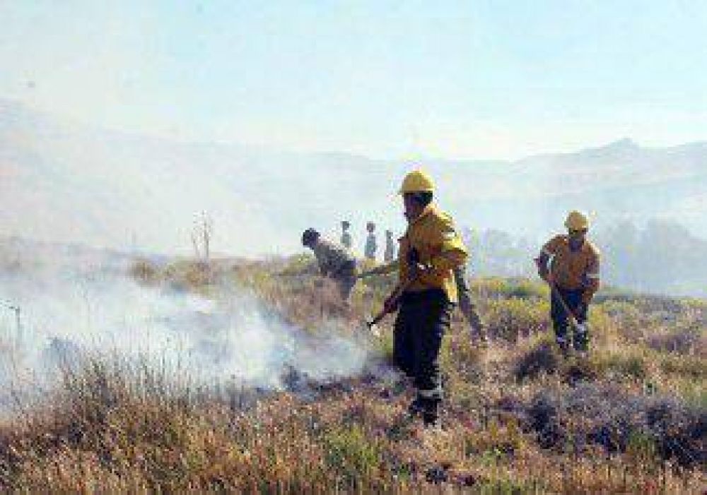 Controlan las llamas en Jun�n y Loncopu� 