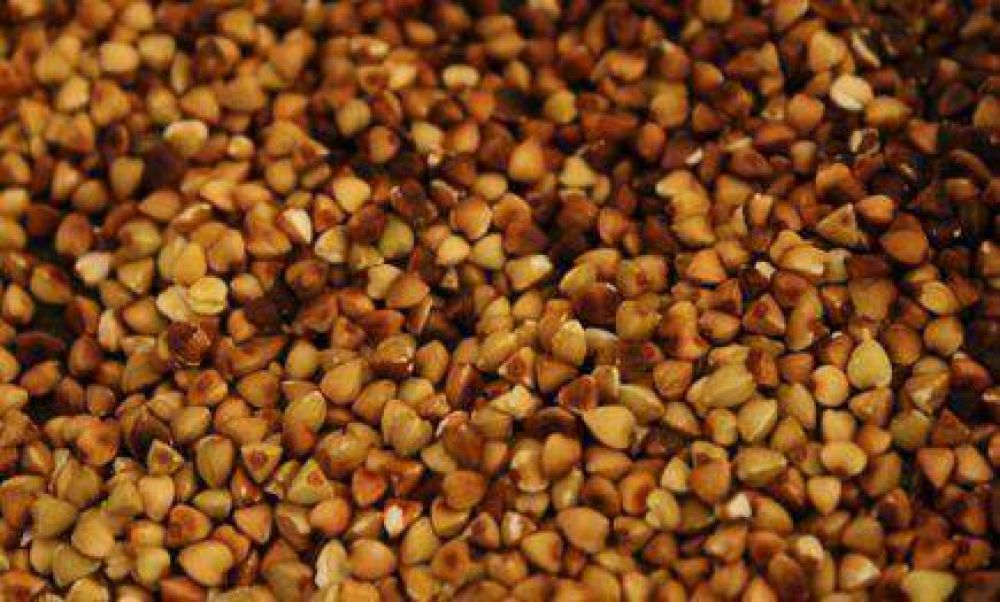 En Misiones cultivan una planta que tiene futuro por sus propiedades nutricionales