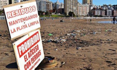 Desde camioneros afirman que �lograron frenar el trabajo precarizado en la separaci�n de residuos en las playas�