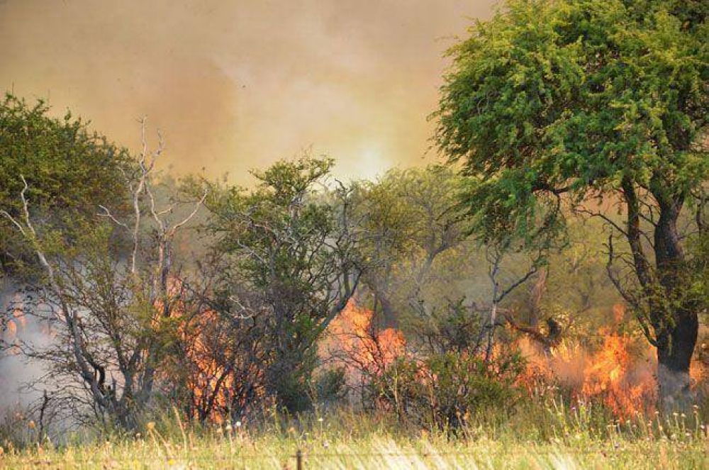 Un incendio oblig� a cortar la ruta 35