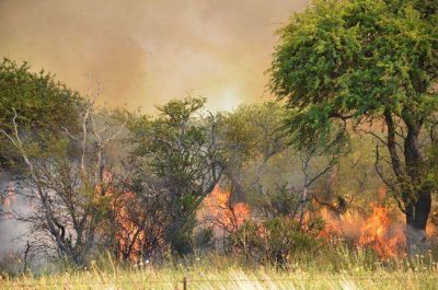 Un incendio oblig� a cortar la ruta 35